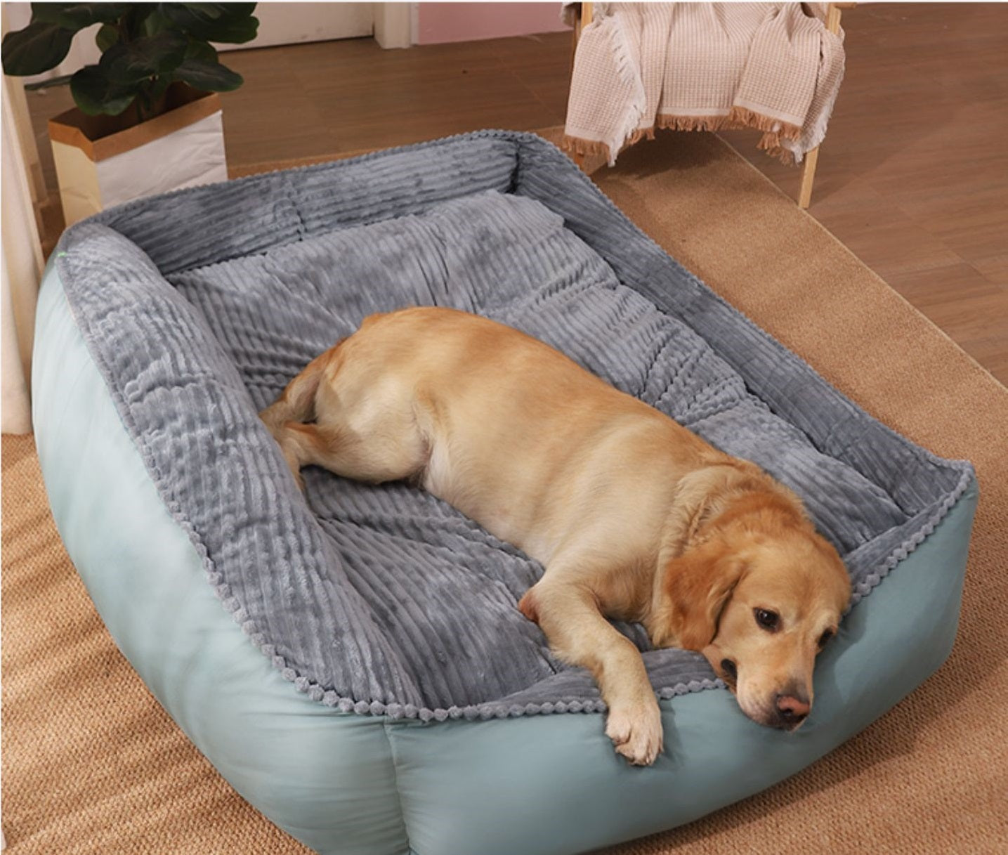 Waschbares Hundebett